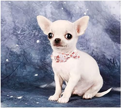 Hfdgdfk Valentine Rose Inima Guler de câine cu papion guler pentru câine pentru animale de companie pentru un câine mic mare