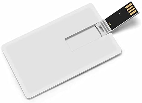 Pansexual Pride Steag USB Flash Drive Flash Card Personalizat Card Drive Memorie Stick USB Cadouri cheie