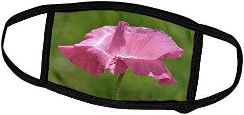 3drose PS flori - flori frumoase-Mac Islanda Roz - Imprimeu Floral-măști de față