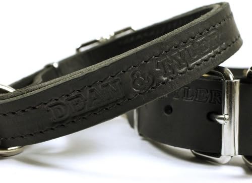Dean și Tyler Strictly Business Dog Collar - Nickel Hardware - Negru - Dimensiune 26 X 1 Lățime. Se potrivește cu dimensiunea