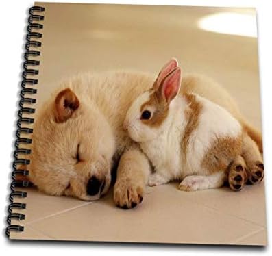Cartea 3Drose Puppy and Bunny Cuddling-Drawing, 8 de 8-inch