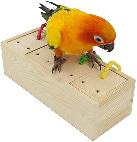 Jucării de alimentare pentru păsări din lemn Yingge, jucării de informații pentru papagali medii și mari Conures Soare, Caique,