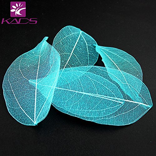 Kads 5pcs/geantă frunze uscate colorate 6 culoarea alegere a luminii decorațiuni frumoase pentru unghii pentru manichiură de