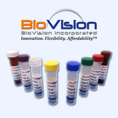 BioVision Galectin-7, recombinant uman, 4647-10