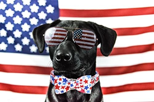 Aring Pet Pet American Flag Gullar pentru câine, gulere drăguțe pentru câini cu cataramă metalică, roșu alb albastru cu guler