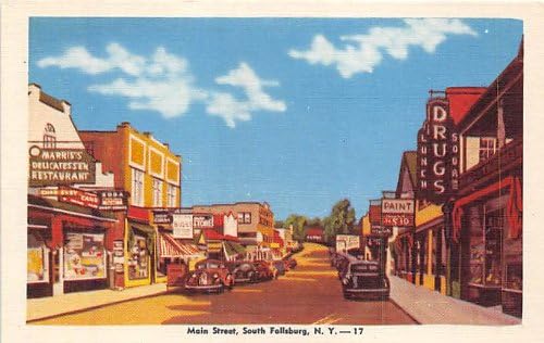 South Fallsburg, New York Postcard
