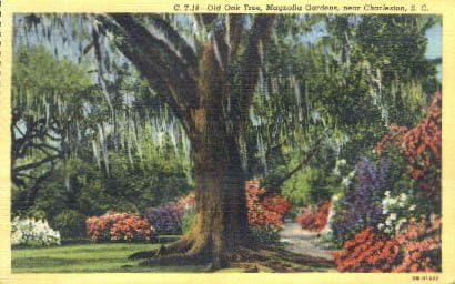 Charleston, Cartea poștală din Carolina de Sud