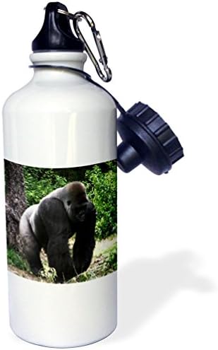 3Drose Silverback Gorilla masculină de mers pe jos cu capul în jos, sticla de apă, 21oz, 21 oz, multicolor