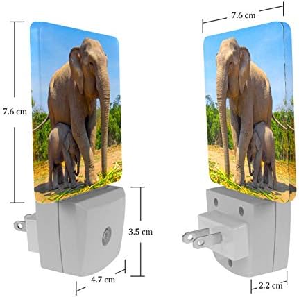 Elephant Africa Print Plug-in LED Night Light lampă copii Night Light cu amurg până în zori Auto Motion Senor potrivit pentru
