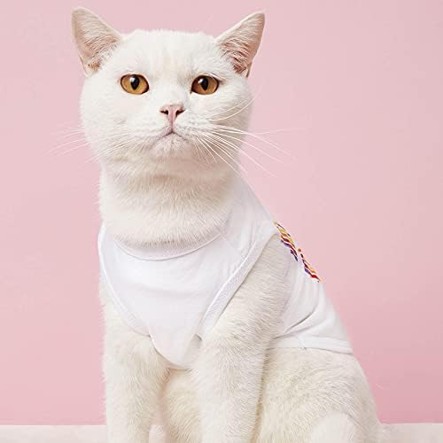 HonpraD Fancy Boy Dog Sweatshirt Fără mâneci Cat Pet îmbrăcăminte dungi Vest Rainbow T-Shirt Pet mici catelus haine pentru fata câini
