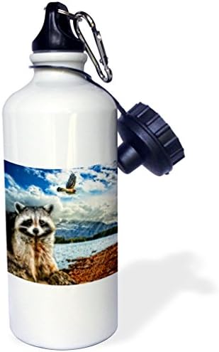 3Drose Raccoon și un șoim într -un loc de la lac de munte. 5 fotografii combinate. -Sport Sticla de apă, 21oz, multicolorat
