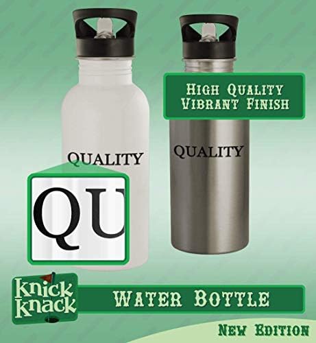 Cadouri Knick Knack Selfindignation - Sticlă de apă din oțel inoxidabil 20oz, argint
