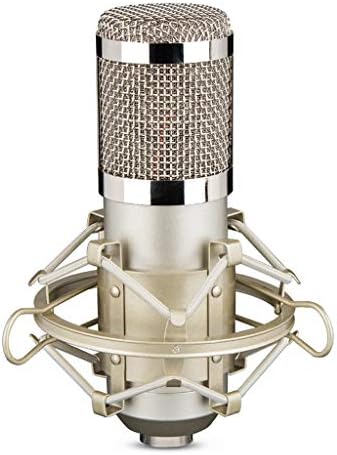 Wssbk condensator înregistrare Studio microfon pentru radiodifuziune Cardioid cules direcțional poate oferi efecte clare de