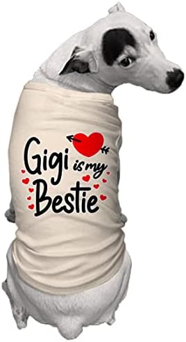 Gigi este prietenul meu cel mai bun - Dragoste bunica Câine Tricou