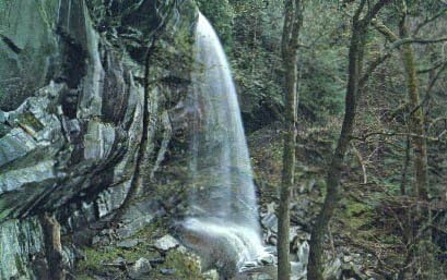 Parcul Național al Munților Smoky, carte poștală din Tennessee