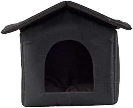 În Casa De Pisici La Adăpost De Pisici De Ploaie În Patru Anotimpuri De Pisici Sălbatice În Peștera De Pisici În Casa De Animale
