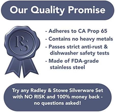 Set de argintărie Radley &Stowe din 20 de piese, serviciu pentru 4, tacâmuri Durabile din oțel inoxidabil, tacâmuri sigure