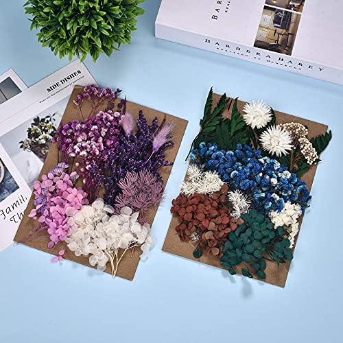 Dalaran 5 pachet Flori uscate presate multiple flori colorate presate pentru meșteșuguri bijuterii din rășină care fabrică